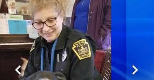 Cathy Cunningham Obituary And Death: In Loving Memory Of A Dedicated Animal Advocate